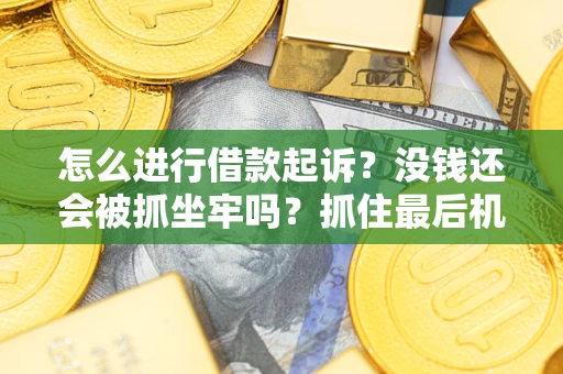 济南怎么进行借款起诉？没钱还会被抓坐牢吗？抓住最后机会！