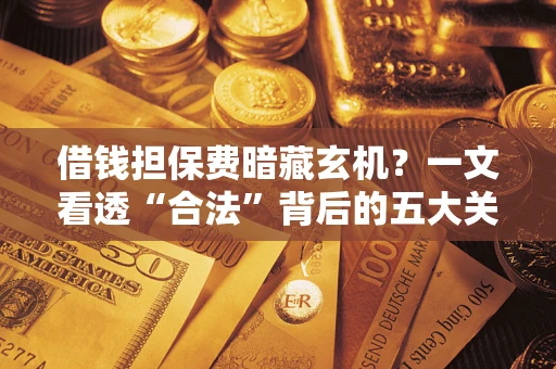 济南借钱担保费暗藏玄机？一文看透“合法”背后的五大关键陷阱